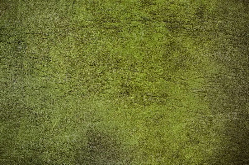 Green textured background with rough uneven surface, creating an abstract pattern of light and shadow.Belarus