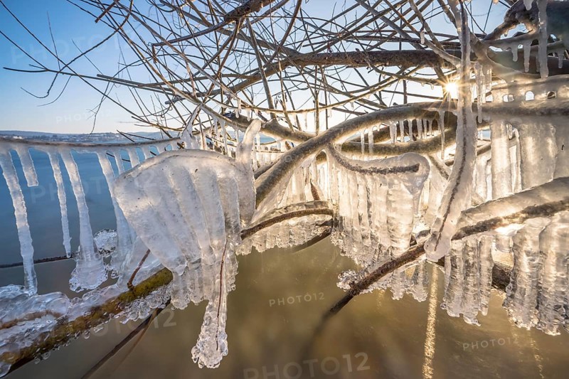Frozen branches with detailed icicles in the sunlight, Niederzell, Reichenau, Lake Constance, Baden-Württemberg, Germany, Europe