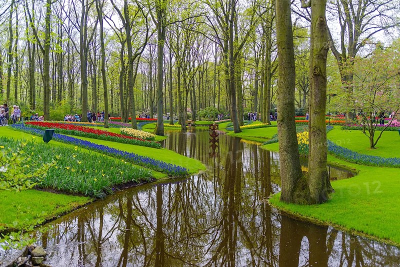 LISSE, NETHERLANDS, APRIL 22, 2018: Lots of people enjoying the blooming tulips in the Keukenhof, the most beautiful spring garden in the world
