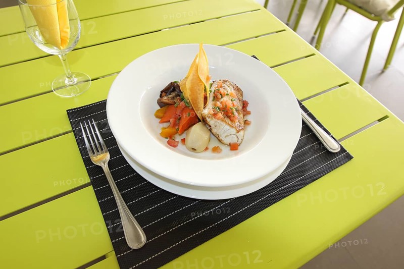 Restaurant menu. Dishes which give at restaurants. Salads, second courses, pizza and other