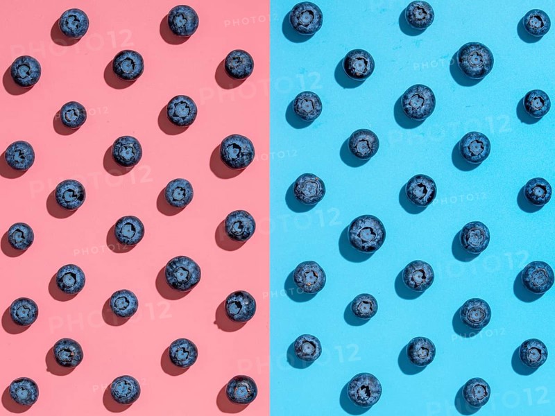 Blueberry pattern. Minimalistic concept. Top view or flat lay. Blueberries staggered on two colors background. Pink and blue minimalistic background