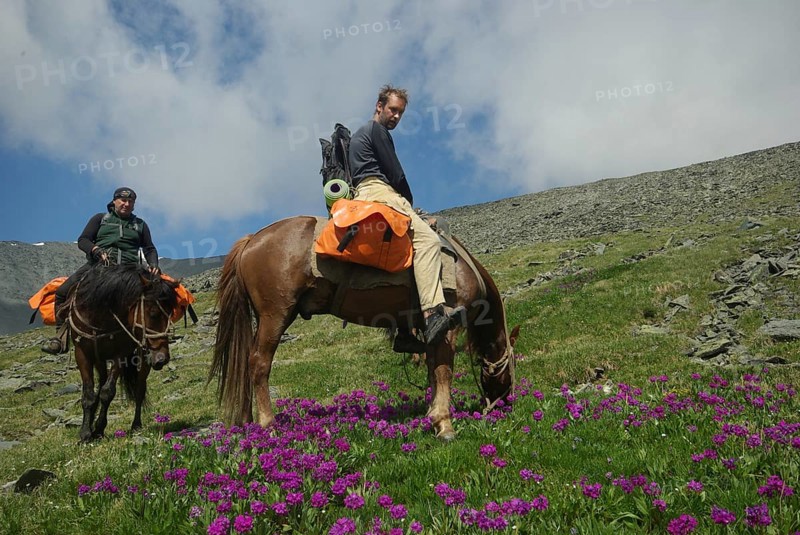 Orlov village, Altai, Russia - June 29, 2016: People with horses Horses walk and graze