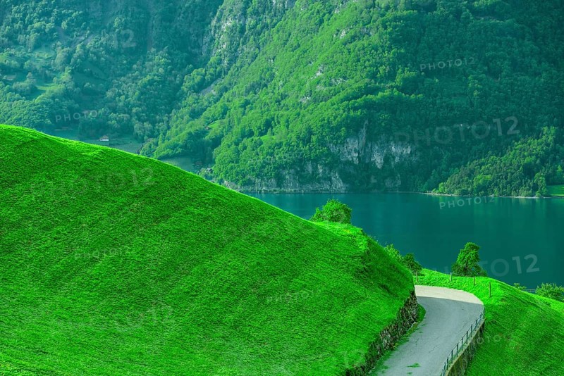 Country road on the side of a green grassy hill, with the lake and swiss forest in the background. Picture taken in a small village called Unterterzen, Switzerland, Europe