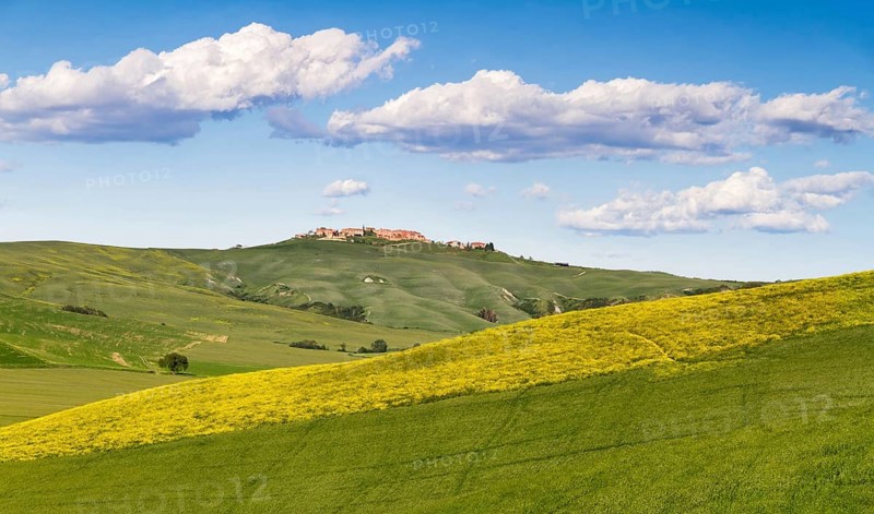 Tuscany landscape between Siena and Asciano, Crete Senesi, Italy, Europe