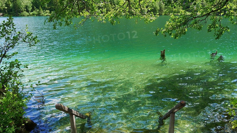 Emerald-green Lake Thumsee in Berchtesgaden National Park