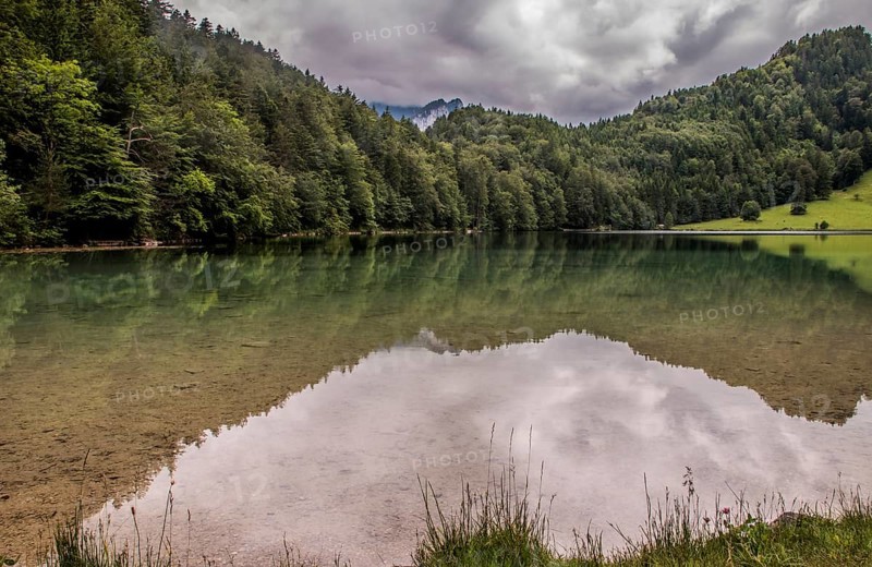 Alatsee, natural lake west of Füssen in the district of Ostallgäu. The lake is up to 35m deep and has a pink-coloured layer of purple sulphur bacteria at a depth of 15-18m, which is the most pronounced in freshwater lakes in the world. The Alatsee near Füssen in the Allgäu. The lake is famous from the Kluftinger thriller Seegrund
