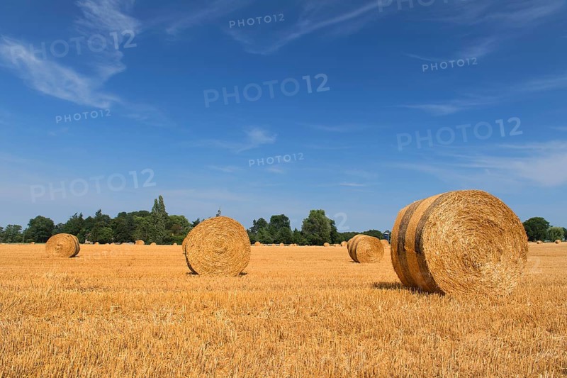 Agricultural landscape with straw rolls in the fields