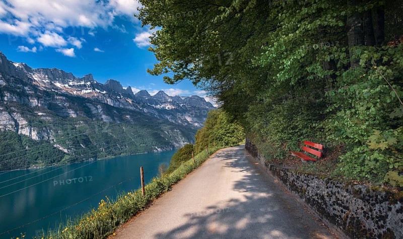 Alley near Walensee lakeshore, with a view to the snow-capped peaks of the Swiss Alps mountains in St. Gallen Canton, Switzerland. Europe places