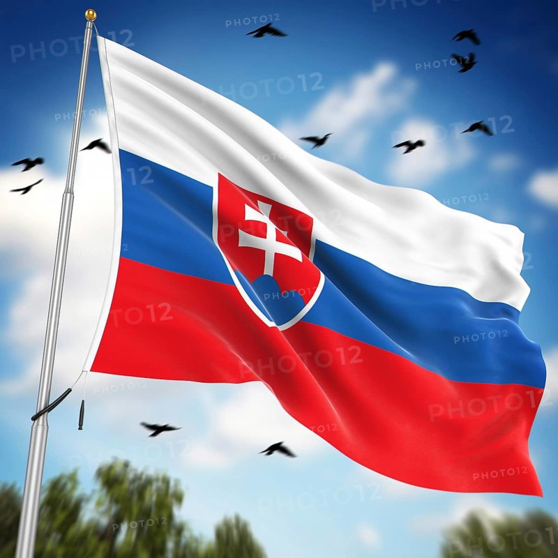 Flag of Slovakia, This is a computer generated and 3d rendered image