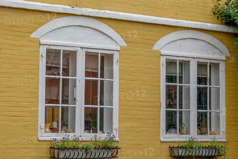 Yellow house facade with white windows and flower pots on window sills, svaneke, bornholm, baltic sea, denmark, scandinavia
