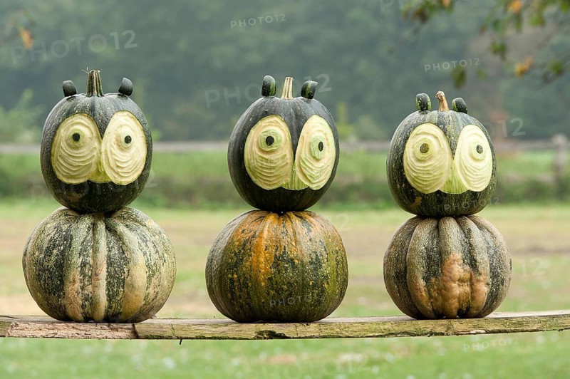 Three green pumpkins with funny carved faces on wooden slats, borken, münsterland, germany