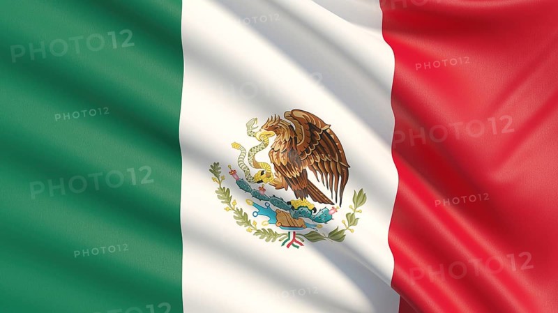 Flag of Mexico. Waved highly detailed fabric texture
