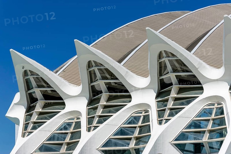 Detail of the roof of the white futuristic building of the science museum Prinz Philip (Museu de les Ciències) with blue sky in the background in the ultra-modern science complex in a landscaped park Ciudad de las Artes y de las Ciencias, Quatre Carreres, Valencia, Autonomous Community of Valencia, Province of Valencia, Spain, Europe