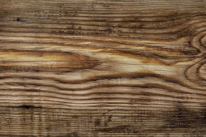 Wood texture of treated pine bright colour