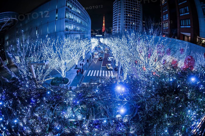 Christmas illuminations of Roppongi image. Shooting Location: Tokyo metropolitan area