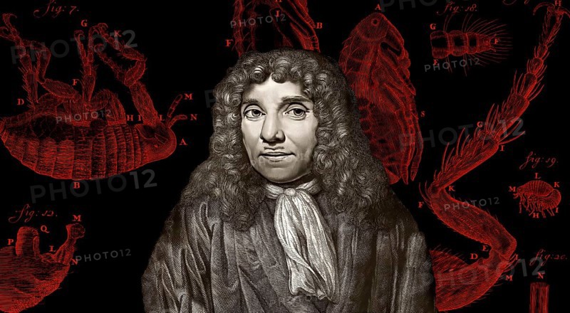 Antonie Philips van Leeuwenhoek, 1632 – 1723, a Dutch microbiologist and microscopist