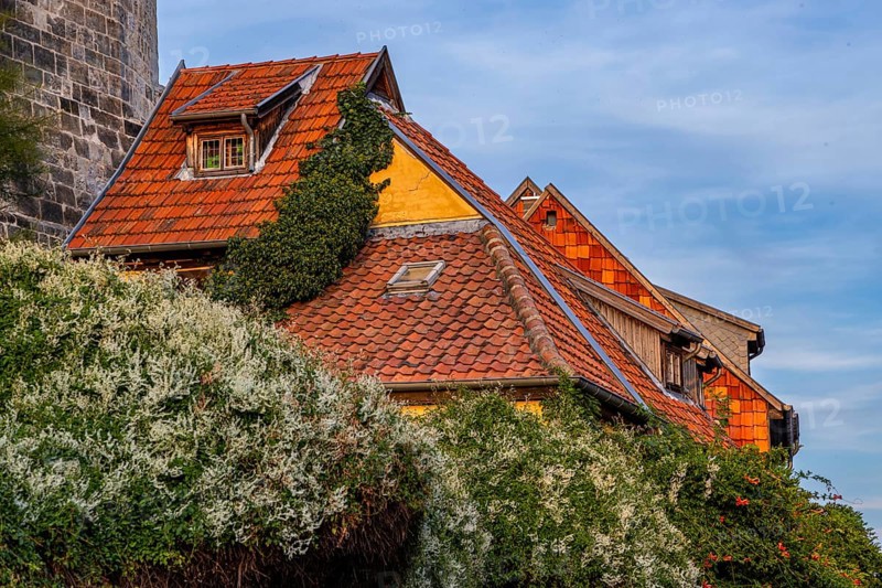 Pictures from the world heritage town of Quedlinburg