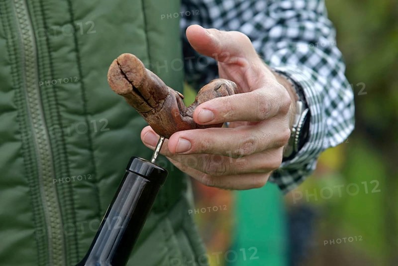 Corkscrew