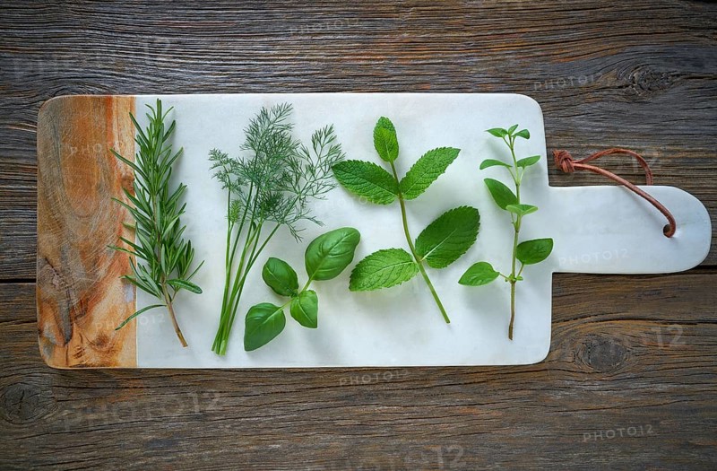 Aromatic herbs culinary plants rosemary fennel oregano mint and basil on wood