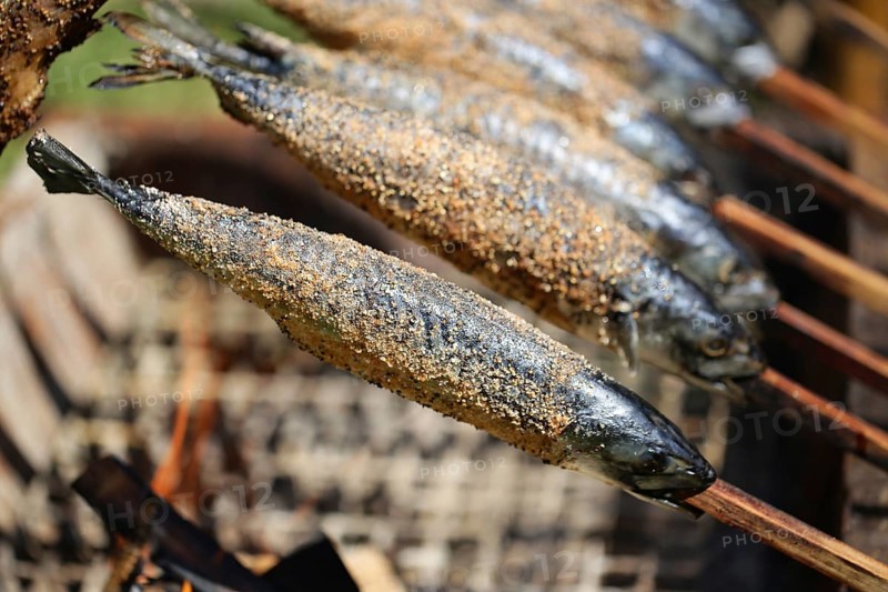 Mackerel Steckerlfisch, roasted mackerel on a wooden stick over a fireplace, medieval market Groß-Umstadt