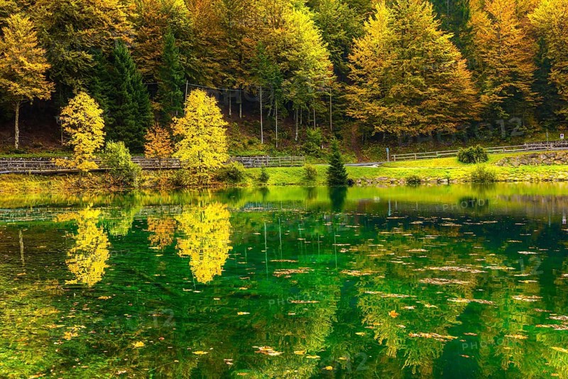 The quiet lake Lago de Fusine. Concept of cultural and ecological tourism. High water after a rain. Fantastically beautiful forests are reflected in the green water