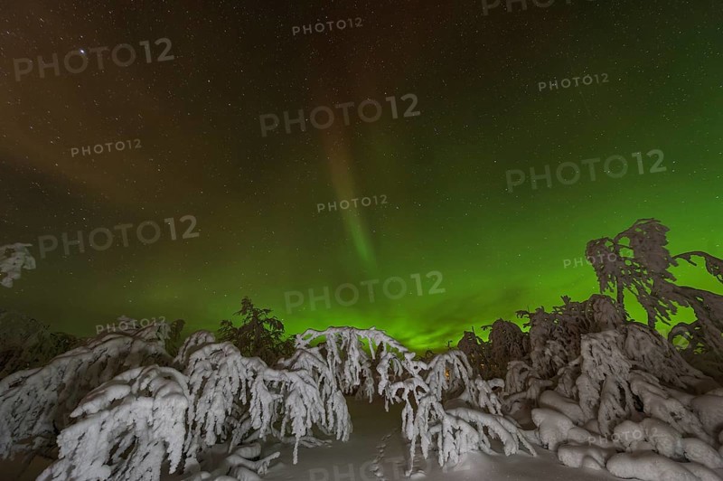 Northern Lights (Aurora borealis) over snowy landscape, Gällivare, Norrbotten, Lapland, Sweden, November 2012, Europe
