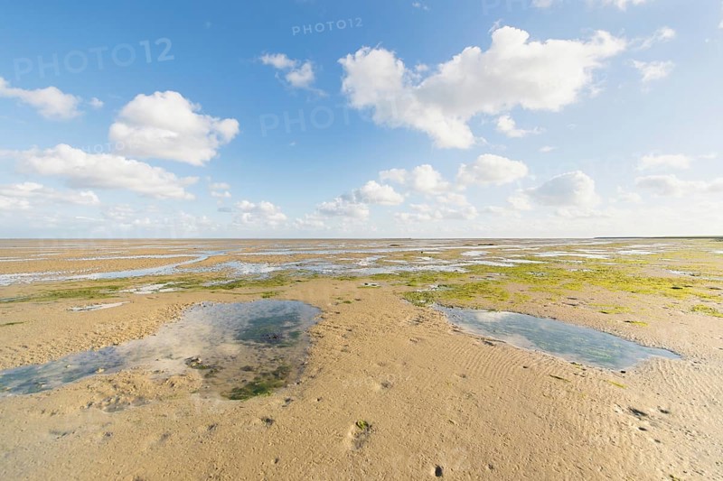 Mudflat or shallow at Dutch wadden sea near Terschelling