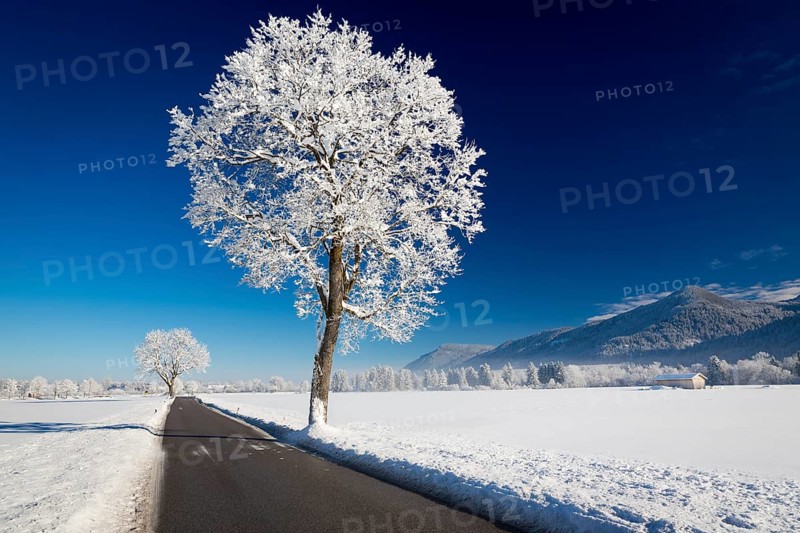 Winter landscape on a sunny day. Allgäu, Germany, Europe