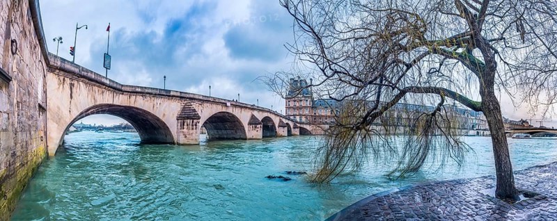 Cloudy day in Paris with a willow on the shore of the Seine River and the bridge Pont Royal, in France
