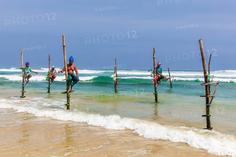 Stilt fishermen, Weligama, Matara District, Southern Province, Sri Lanka, Asia