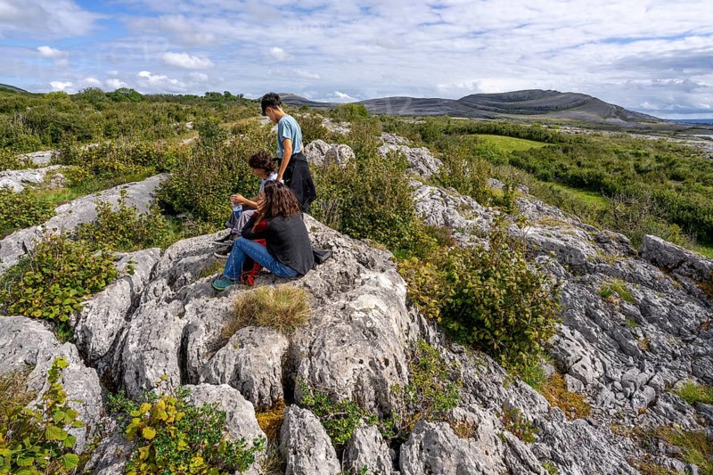 Burren National Park, The Burren, County Clare, Ireland, United Kingdom, Europe