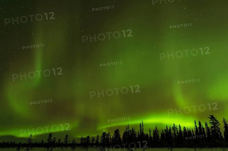 Northern Lights (Aurora borealis) over snowy landscape, Gällivare, Norrbotten, Lapland, Sweden, November 2012, Europe