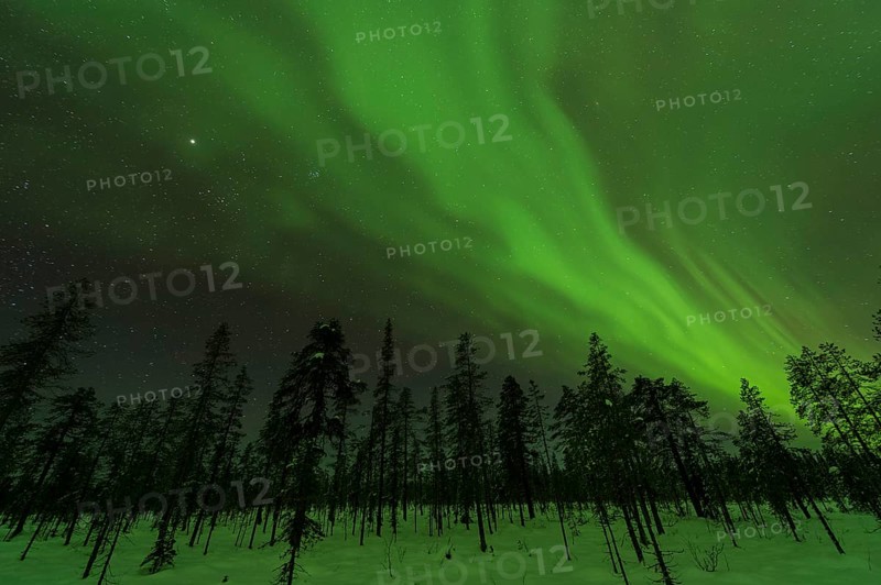 Northern Lights (Aurora borealis) over snowy landscape, Gällivare, Norrbotten, Lapland, Sweden, November 2012, Europe