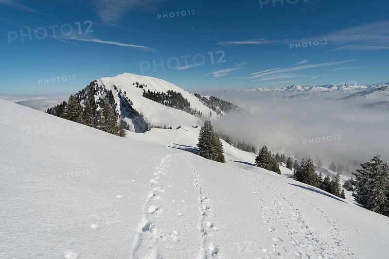 Fantastic snowshoe tour on the Hochgrat at the Nagelfluhkette in Allgau, Bavaria