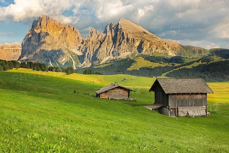 Langkofel Group at Seiser Alm, South Tyrol, Italy, Europe