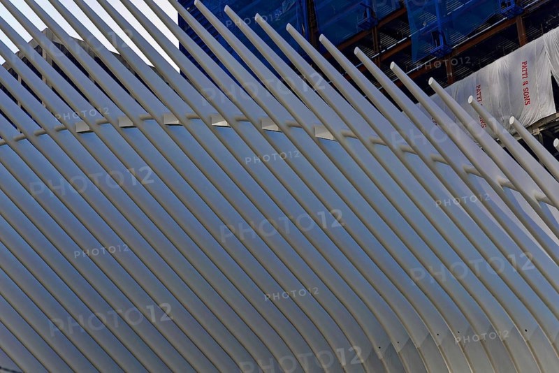 Freedom Tower or One World Trade Centre, South Manhattan, New York City, New York, USA, Modern architectural structure with white rods. Futuristic design in an urban environment, Manhattan, North America
