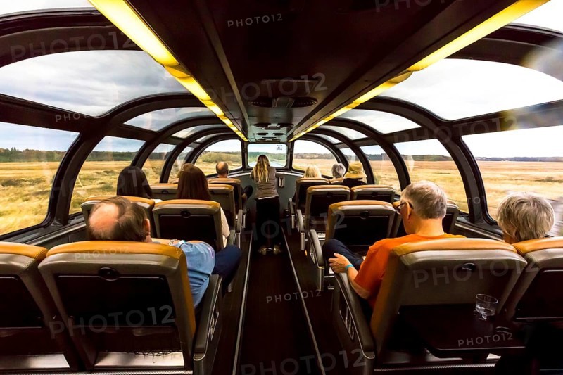 View from the window of a moving train with flowery landscape