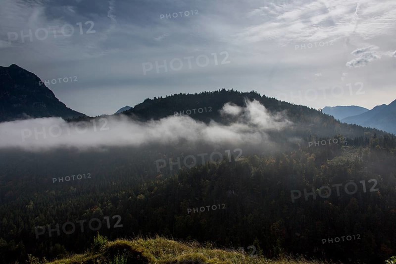 Fog in the mountain forest