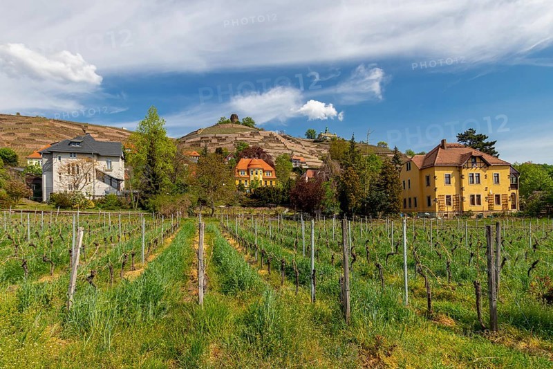 Radebeul