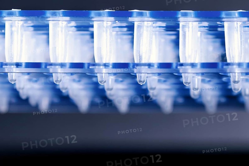 Science Plastic Test Centrifuge Tubes