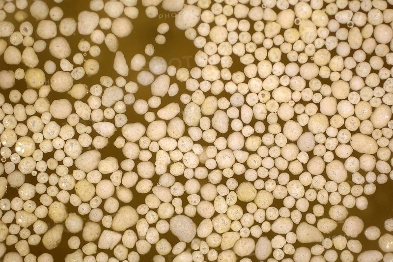 Microplastic balls in the water
