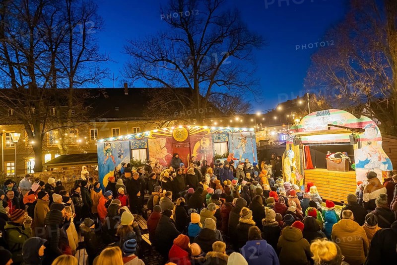 Christmas market on the village green Altkötzschenbroda Radebeul, Saxony, Germany, Europe