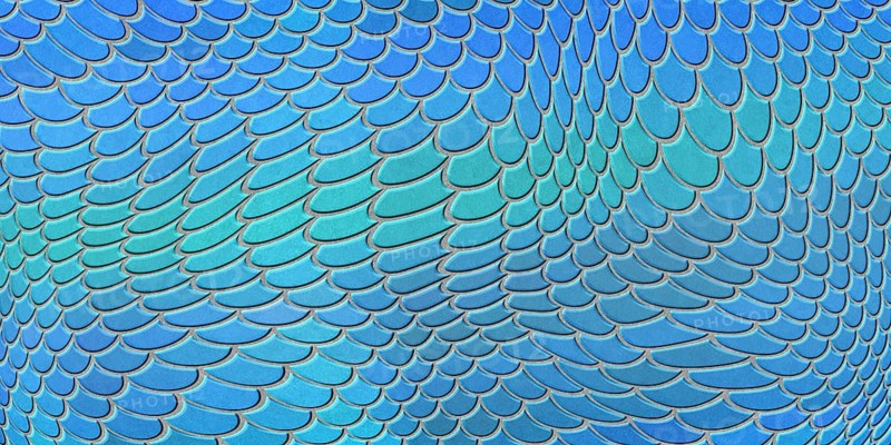 Blue mermaid scales, fish scale, Fantasy texture