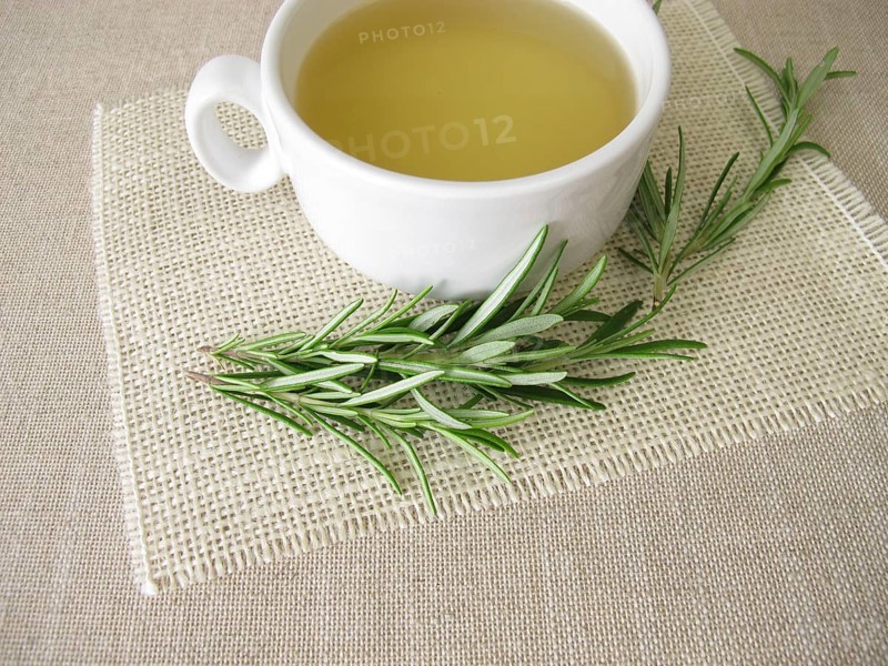 Rosemary tea, tea made from fresh rosemary