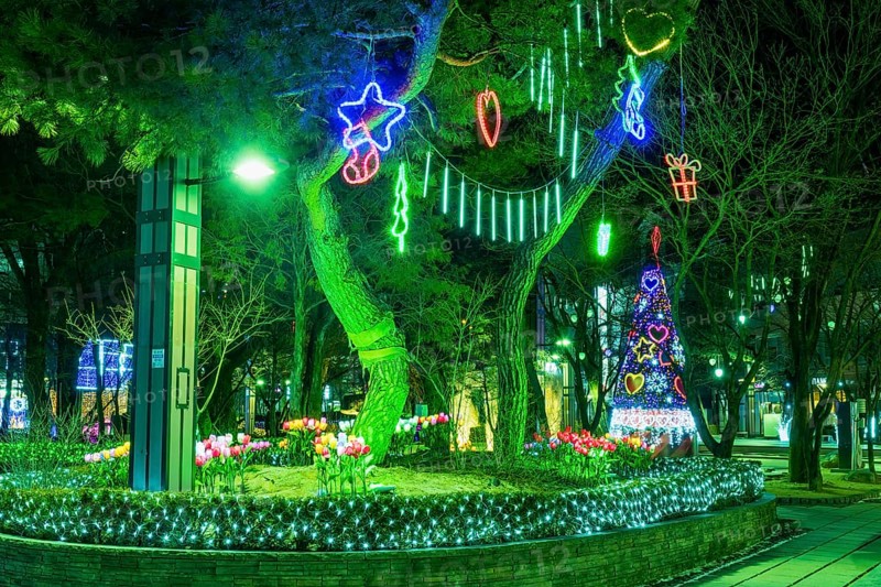 Taebeck, South Korea. January 29, 2019: Lights hanging from trees with Christmas tree in background during winter festival