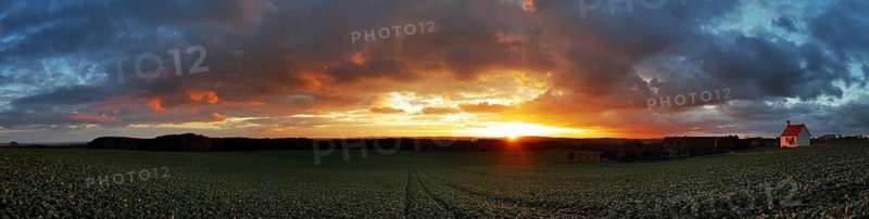 Panorama, sunset in the Ried