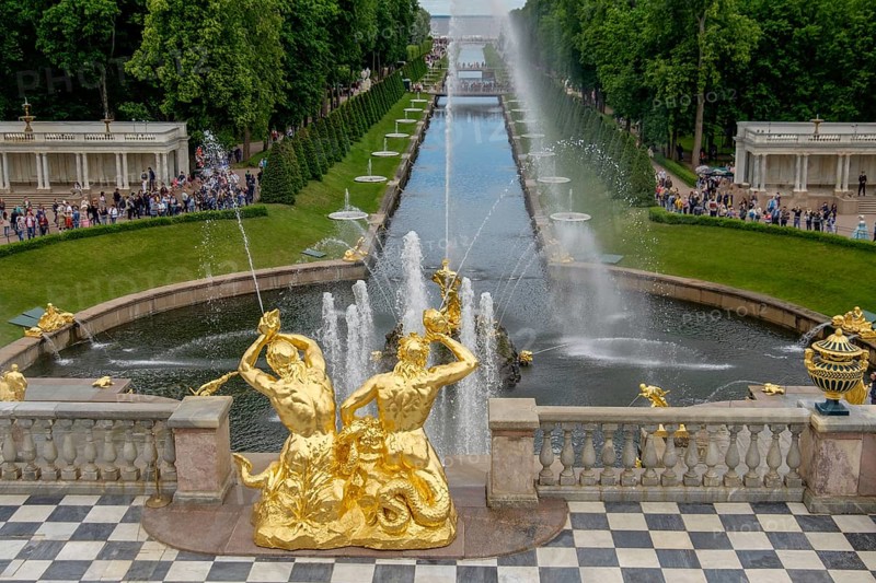 Magnificent garden fountain with golden sculptures and rising water jet, in the background strolling people and green areas, saint petersburg, baltic sea, russia