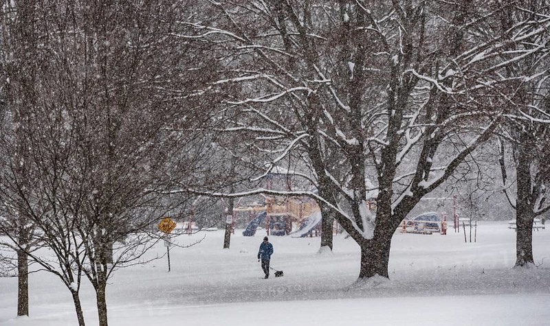 Heavy snow squalls of lake-effect snow falls over Springbank Park in London, Canada. Environment Canada predicted 25-35cm of snow would fall over the region in 24 hours in London, Ontario, Canada, North America