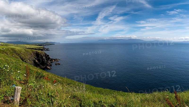 Picturesque coastal landscape with green meadows and rugged cliffs on a beautiful summer day on the Dingle Peninsula of County Kerry in western Ireland
