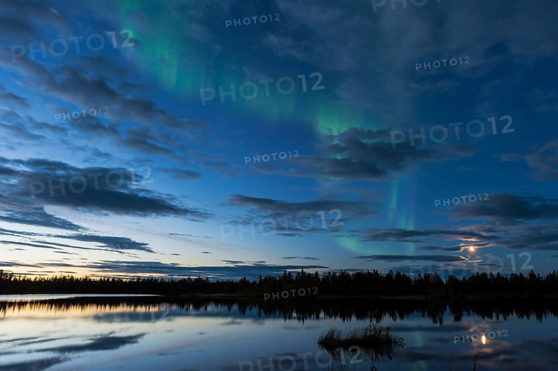 Northern Lights (Aurora borealis) over a forest lake, Norrbotten, Lapland, Sweden, August 2013, Europe